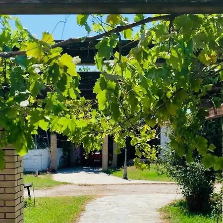 Village Dimopoulos Rodhodháfni