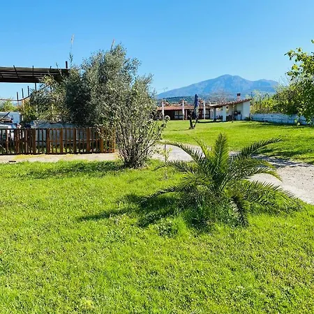 アパートホテル Village Dimopoulos Rodhodháfni